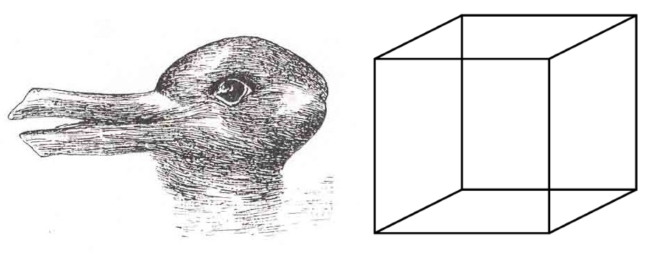 The duck-rabbit figure by Jastrow (1899) and the Necker cube (Necker, 1832)