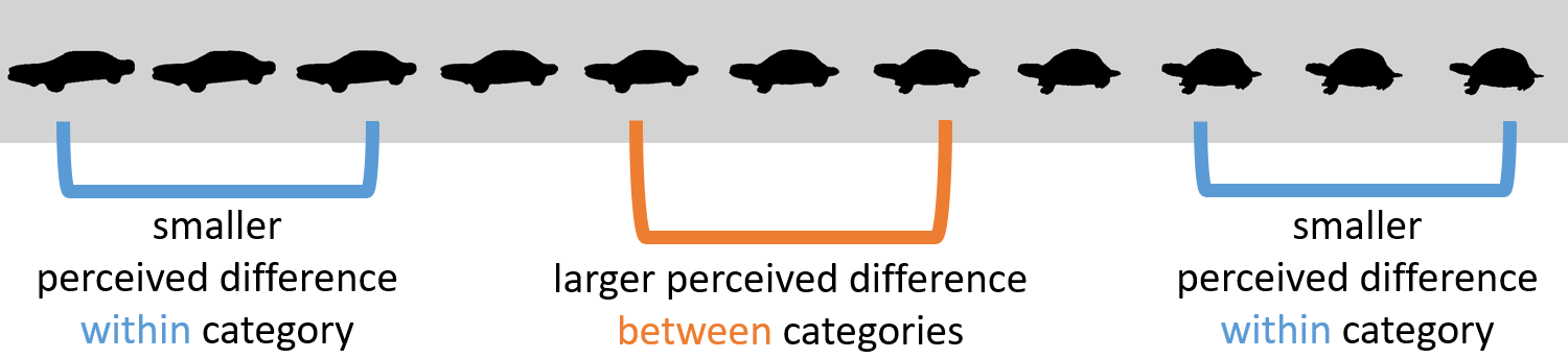 Illustration of the category boundary effect.