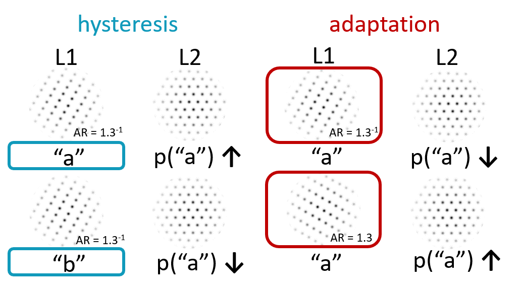 Illustration of attractive and repulsive context effects in dot lattices. Left: attraction effect (hysteresis). When the first lattice (L1) is perceived as orientation a, the probability that the second lattice (L2) will be perceived as orientation a is higher than when L1 was interpreted as orientation b. Right: repulsion effect (adaptation). When strong support for orientation a is present in L1, the probability that L2 will be perceived as a orientation a is lower than when L1 had less support for orientation a.