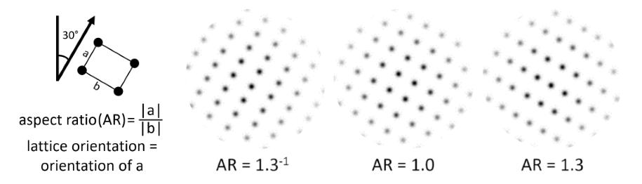 Explanation regarding the aspect ratio of a multistable rectangular dot lattice. In rectangular dot lattices, four different orientations can be perceived, of which two are more prevalent (as the dots are closer together along these orientations). The relative dominance of the a orientation relative to the b orientation is expressed in the aspect ratio of the dot lattice (AR = |a| / |b|).