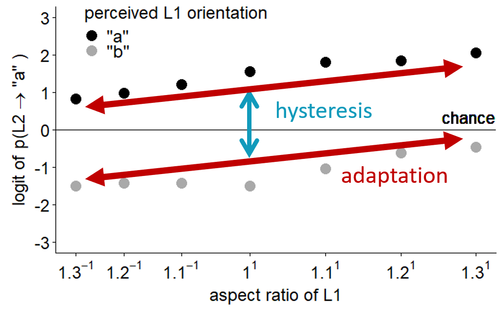 Expected average effects of hysteresis and adaptation on the perception of multistable dot lattices, based on the study of Schwiedrzik et al. (2014). Vertical separation of the two lines reflects the size of the perceptual hysteresis effect, the slope of both lines reflects the size of the perceptual adaptation effect.